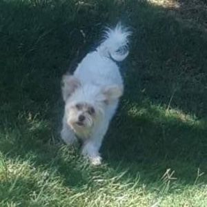 Meet your Posher, Martina